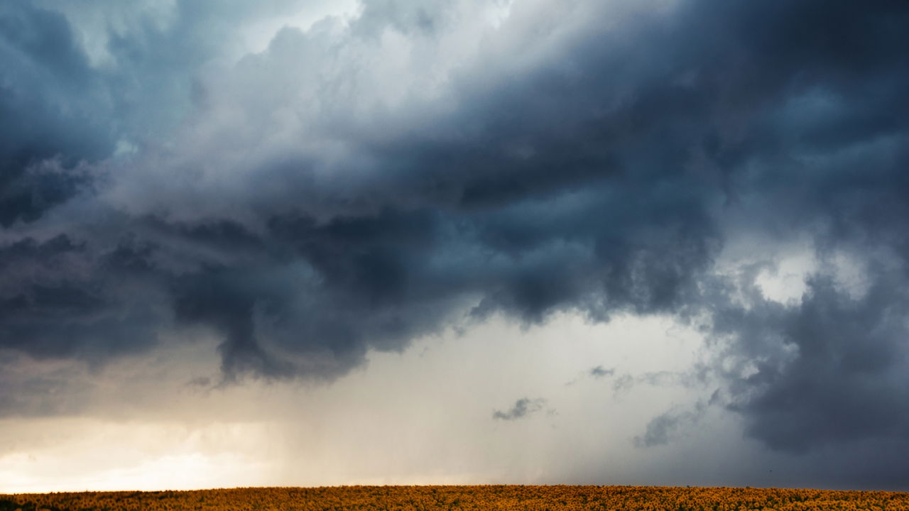 Crédito: oantagonista.com.br