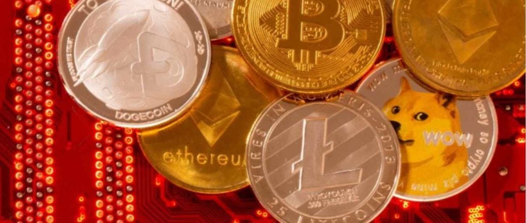 Ana Paula Branco Alves