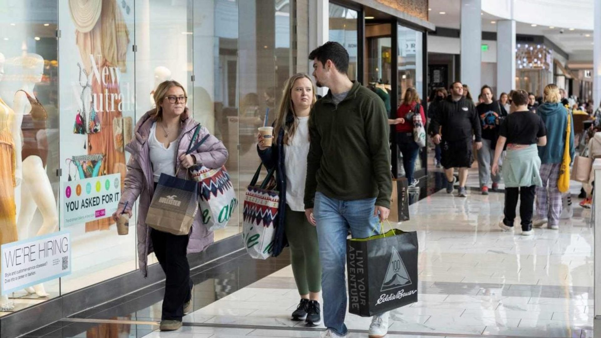 Ana Paula Branco Alves