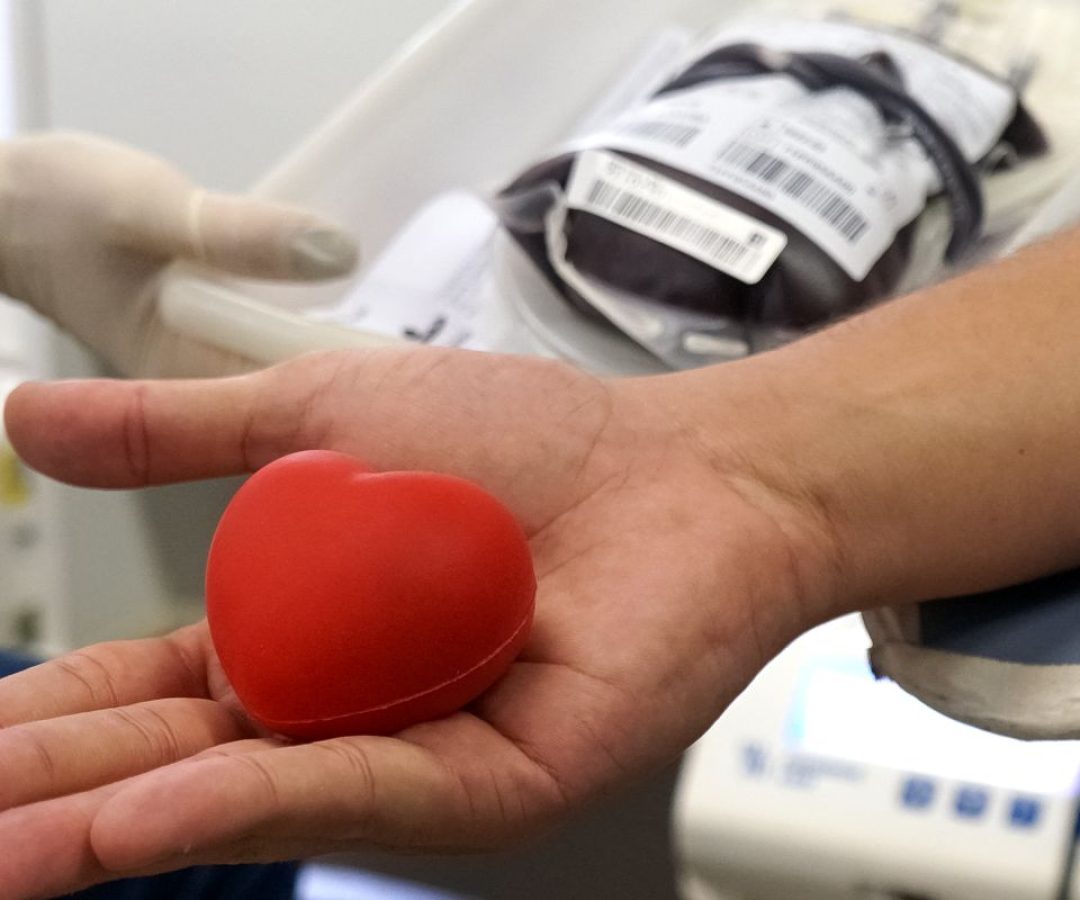 51129040925_9e5571b5a5_o