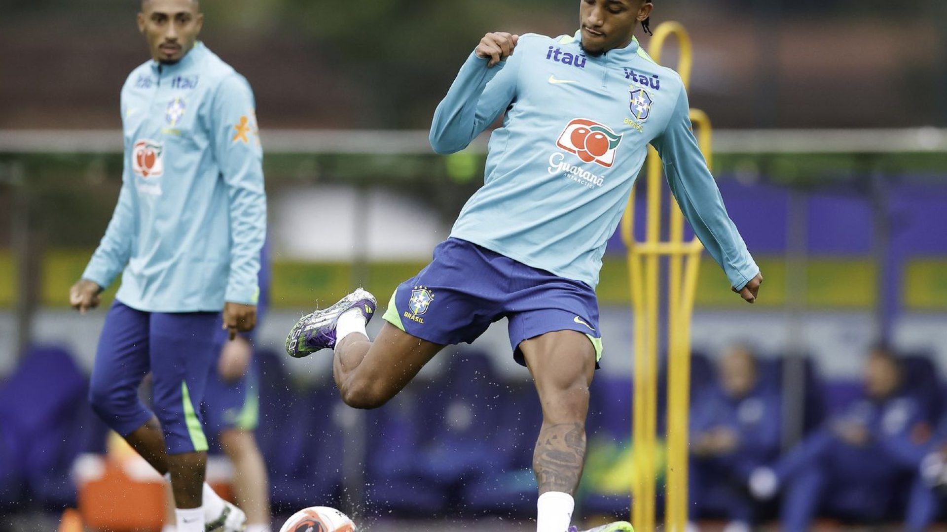 54772819023_48495d1916_o_1