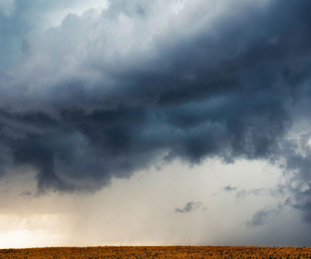 Crédito: oantagonista.com.br