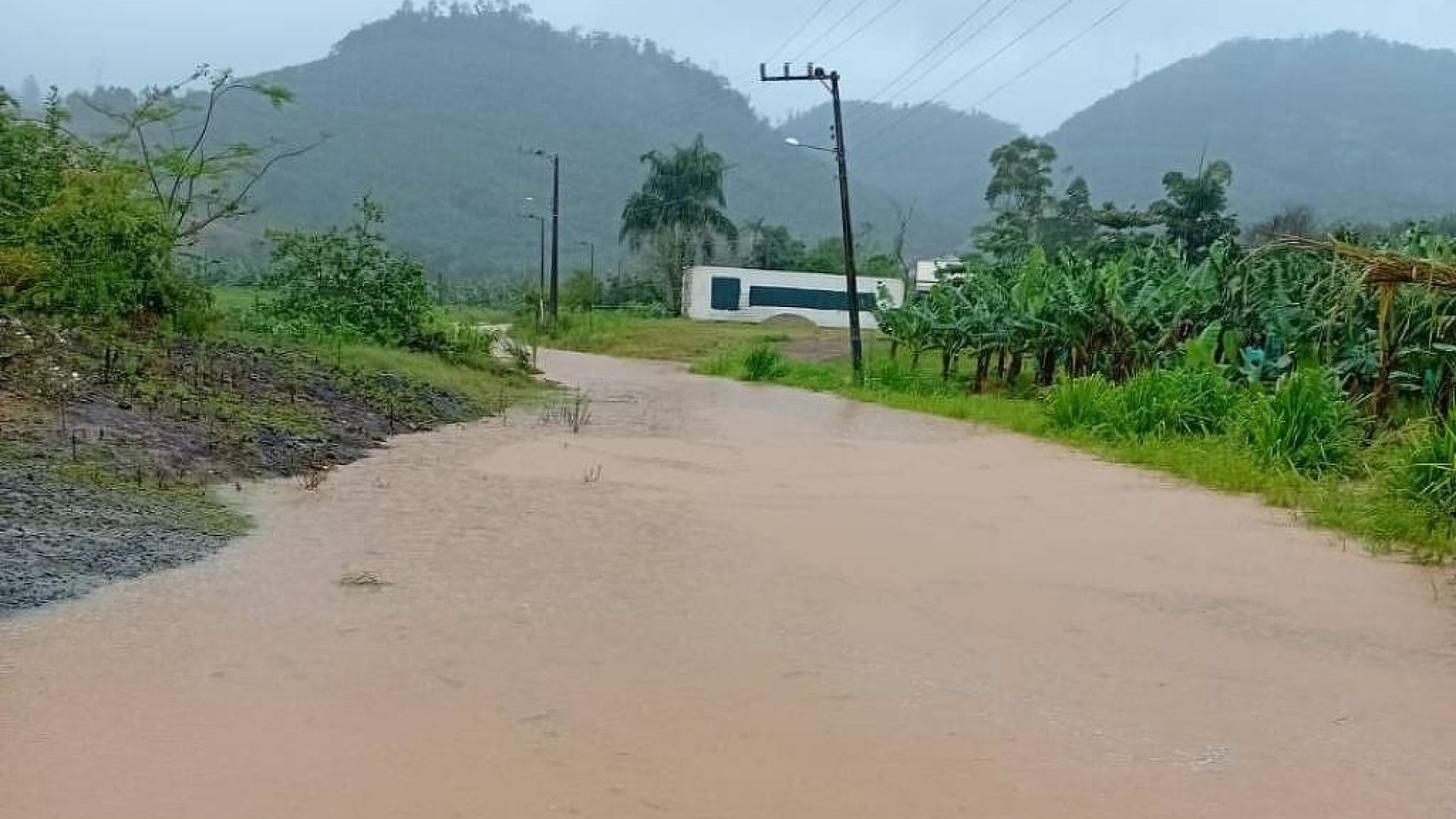 Crédito: oantagonista.com.br