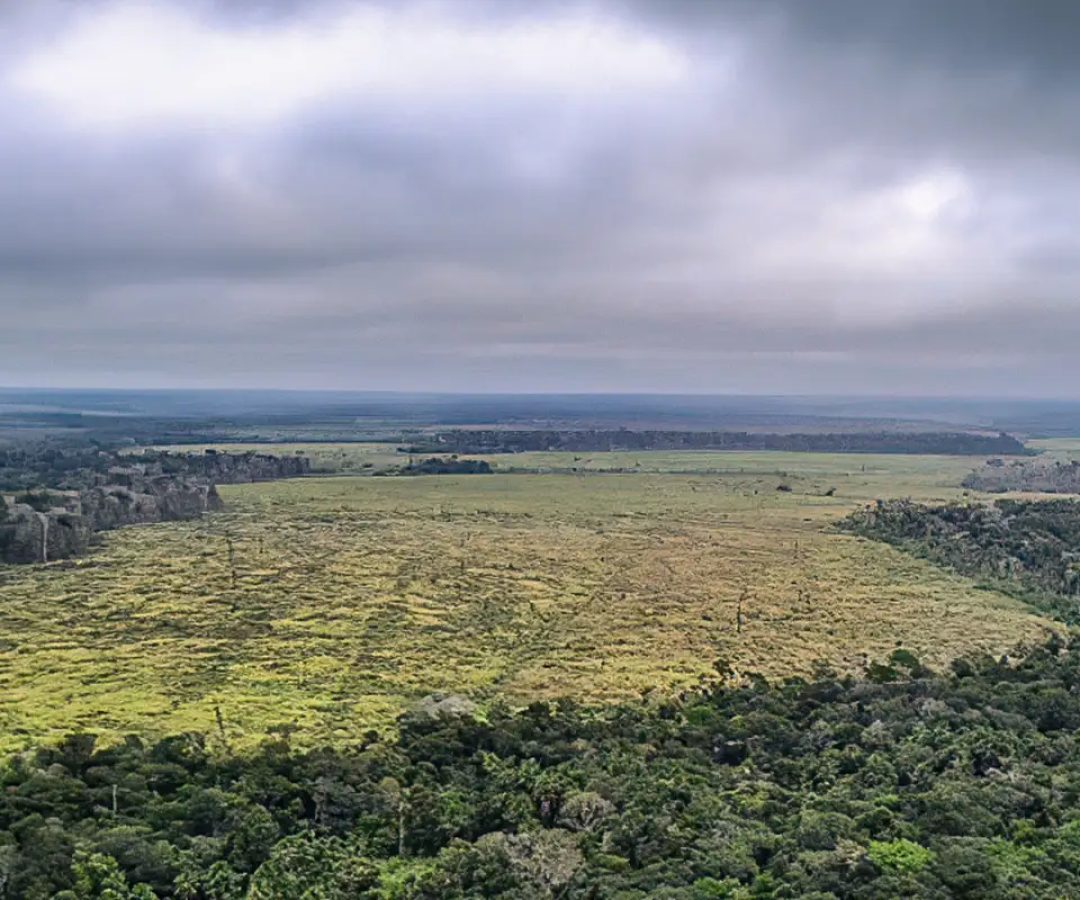Crédito: agenciabrasil.ebc.com.br