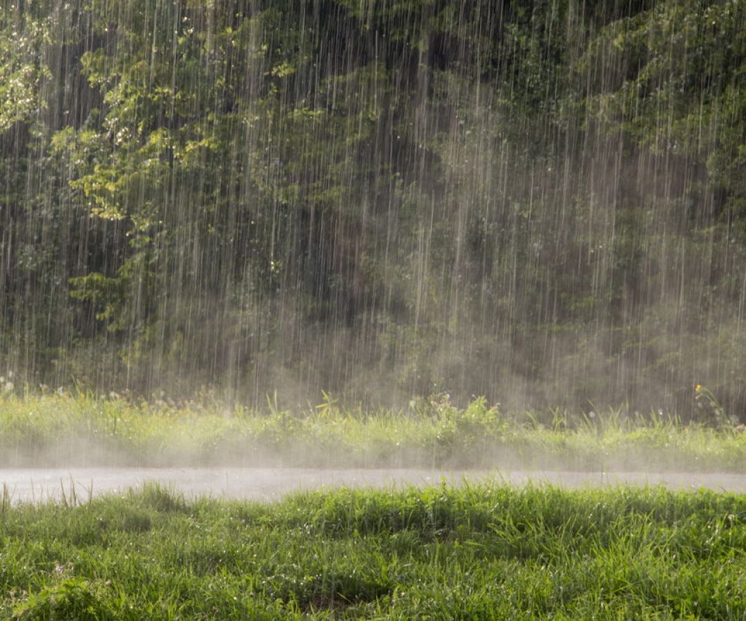 Crédito: oantagonista.com.br