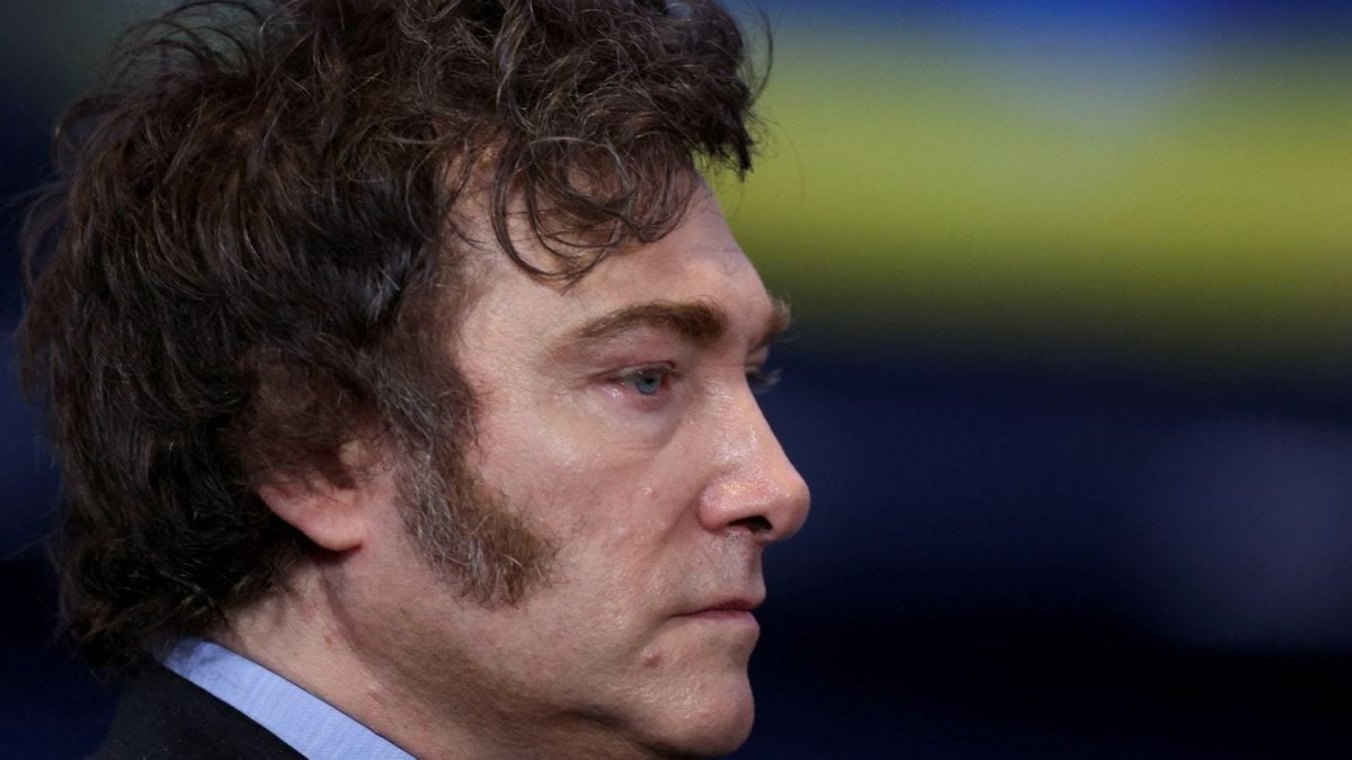 Ana Paula Branco Alves