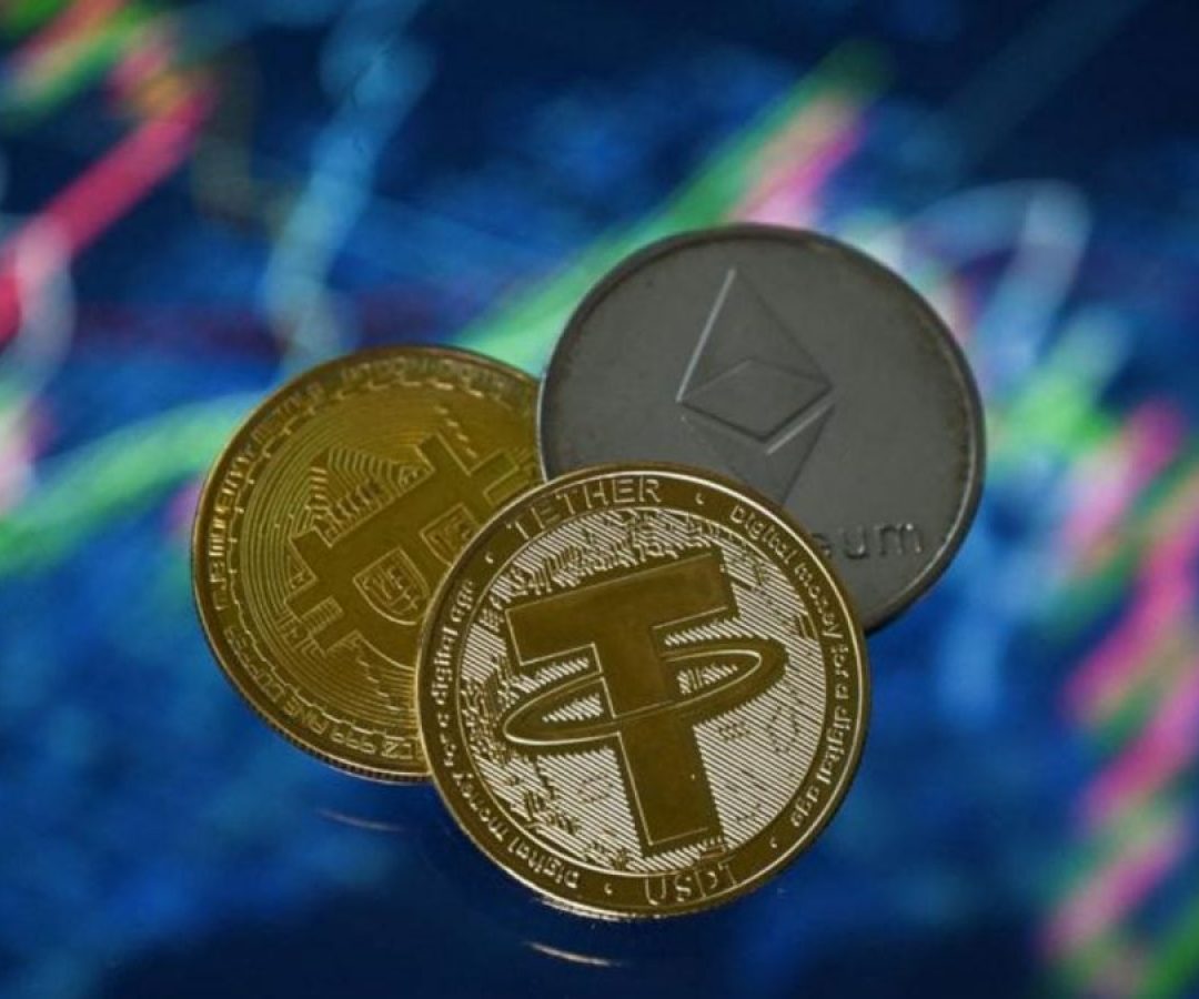 Ana Paula Branco Alves