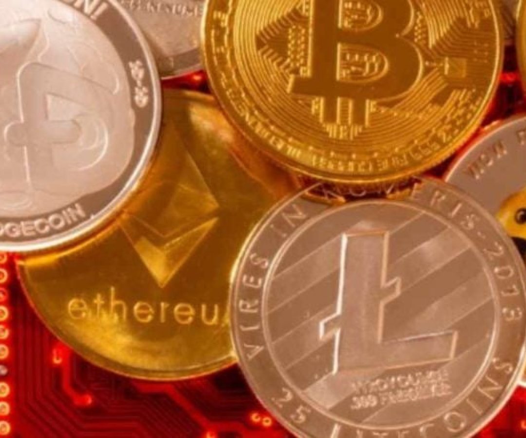 Ana Paula Branco Alves