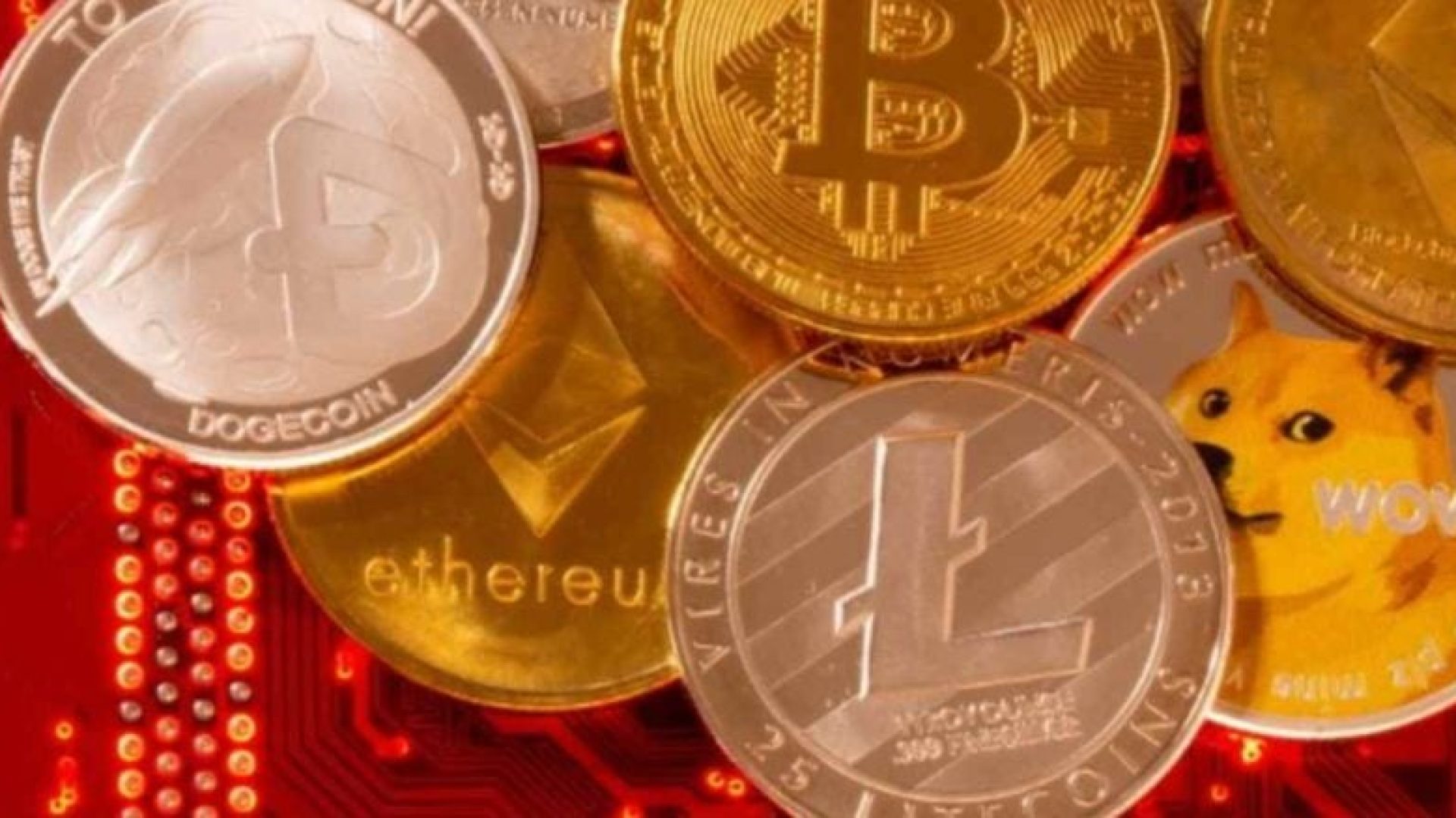 Ana Paula Branco Alves