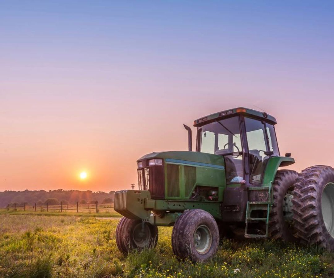 Crédito: oantagonista.com.br